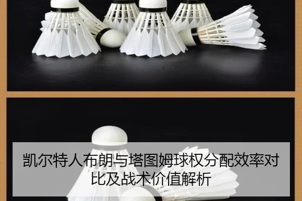 凯尔特人布朗与塔图姆球权分配效率对比及战术价值解析