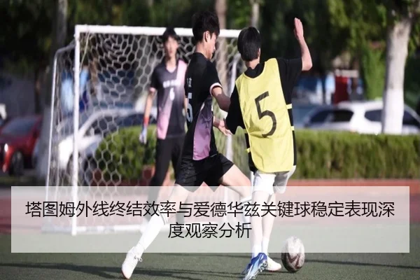 塔图姆外线终结效率与爱德华兹关键球稳定表现深度观察分析